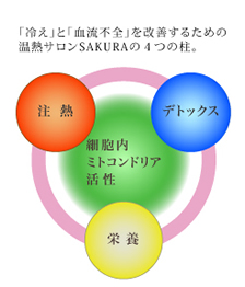 SAKURAだからできるコト